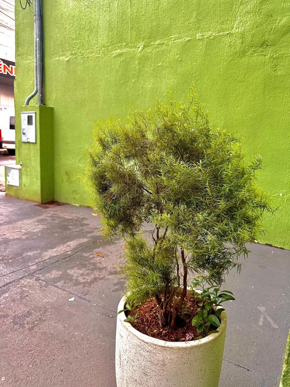 Hotel Oliveira 44 Goiânia Εξωτερικό φωτογραφία
